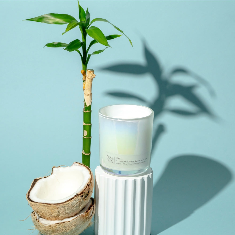 Scented Candles Hand Poured Candles Noa Lux